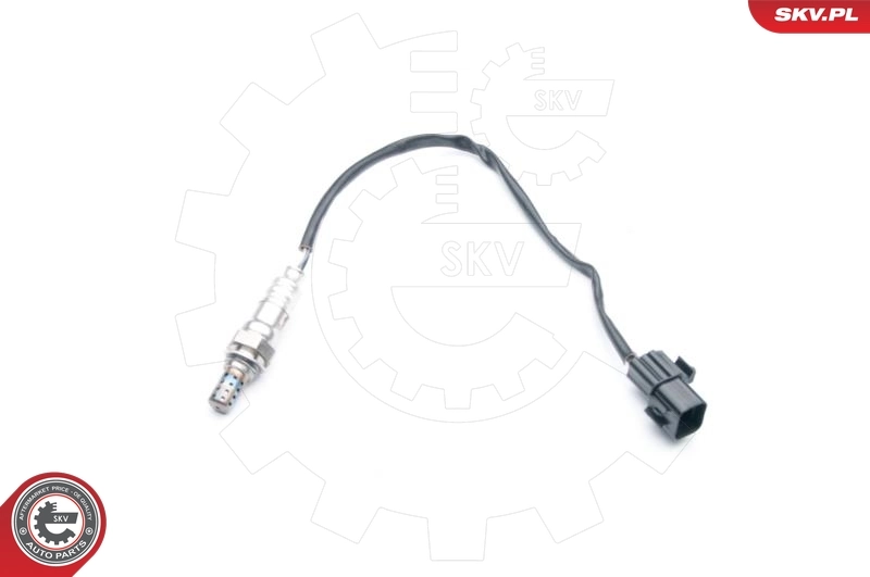 Oxygen Sensor
